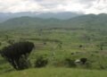 Imirwano Yadutse i Mugobe, Hafi ya Katogota, Humvikana Amasasu