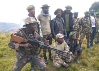 Wazalendo Bateye Induru: Intwaro n’Amafaranga Bari Baragenewe Byaburiwe Irengero